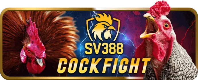 Trải nghiệm mượt mà trên ứng dụng win68 casino